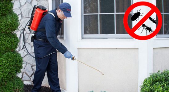 Bahçelerarası Böcek İlaçlama böcek ilaçlama ve haşere kontrolü — ilaclama-tr.com